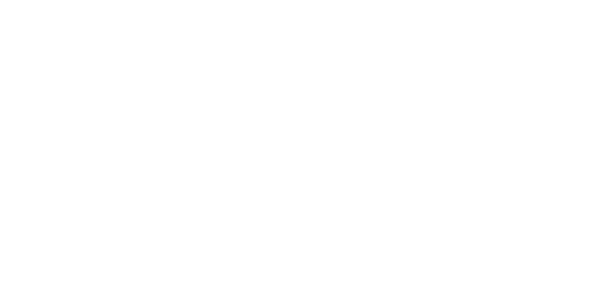 Stoneridge Insurance